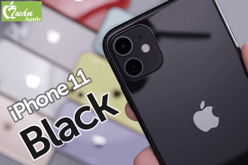 iPhone 11 cũ 64GB có mấy màu?