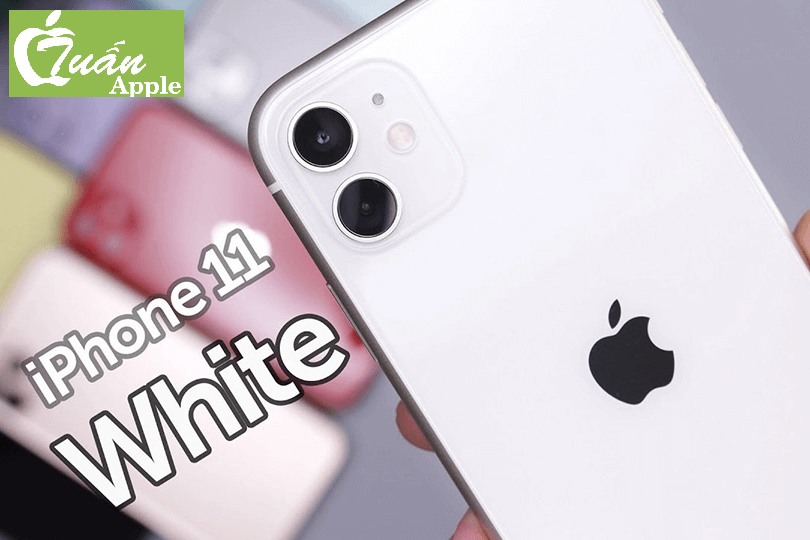 iPhone 11 cũ 64GB có mấy màu?