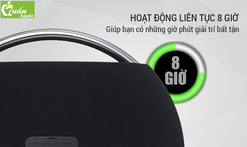 Loa Bluetooth Harman Kardon Go + Play