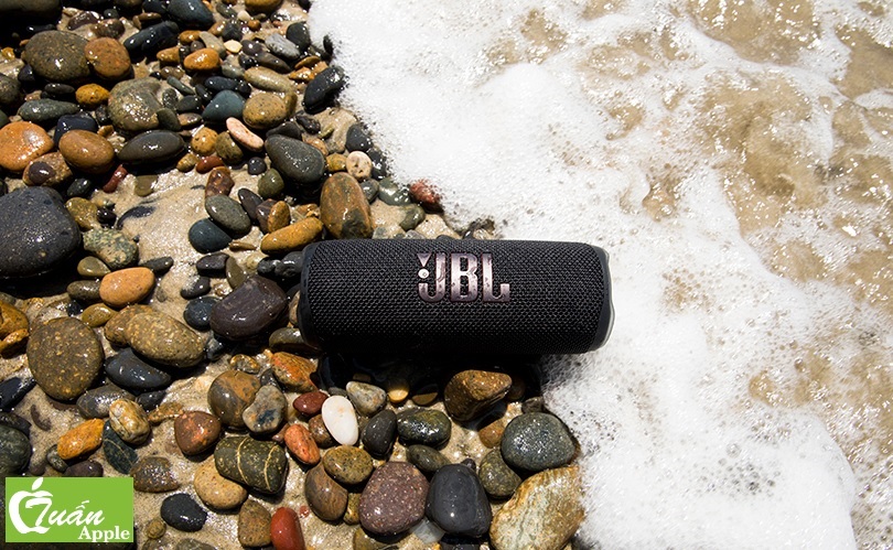 Loa Bluetooth JBL Flip 6