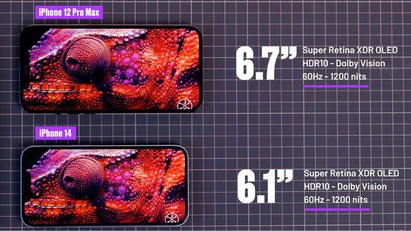 Thiết kế và màn hình