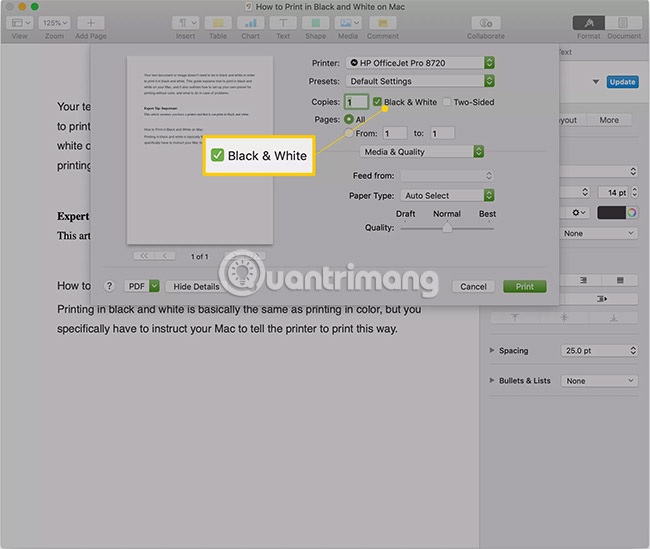 Hướng dẫn cách in trắng đen trên MacBook