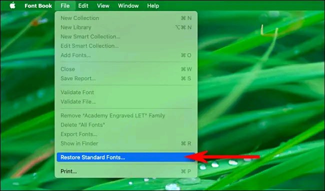 Cách khôi phục chữ mặc định Macbook