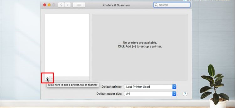 Cách kết nối Macbook với máy in qua mạng LAN