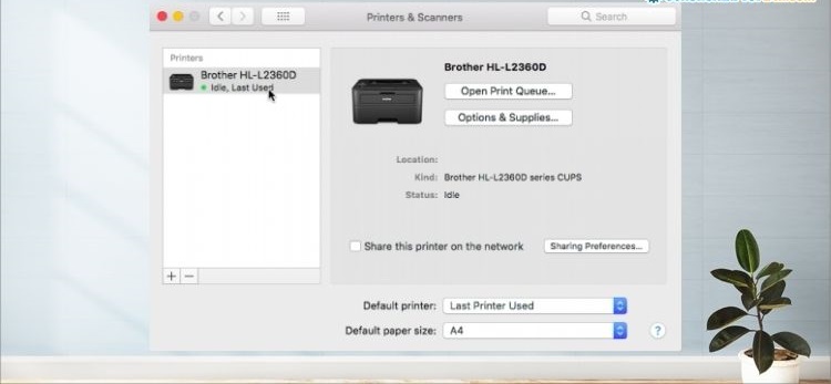 Cách kết nối Macbook với máy in qua mạng LAN