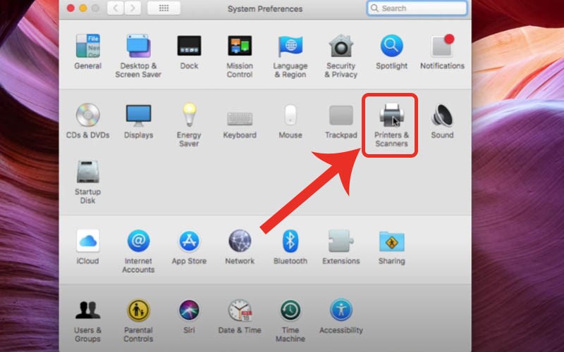 Cách kết nối Macbook với máy in qua mạng LAN