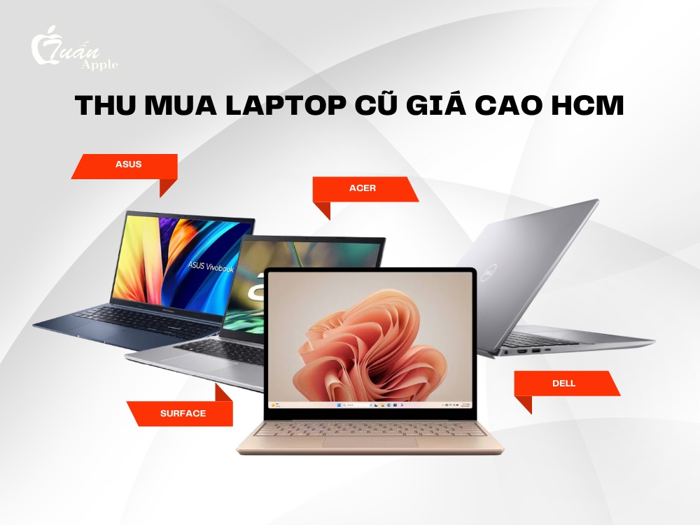 Thu mua Laptop cũ giá cao tại TP. Hồ Chí Minh 