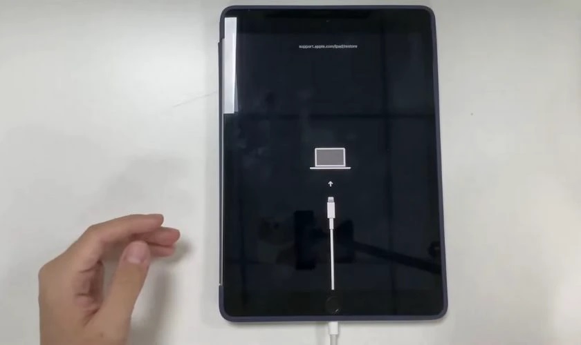 Cách sửa lỗi iPad mini 4 bị sọc màn hình