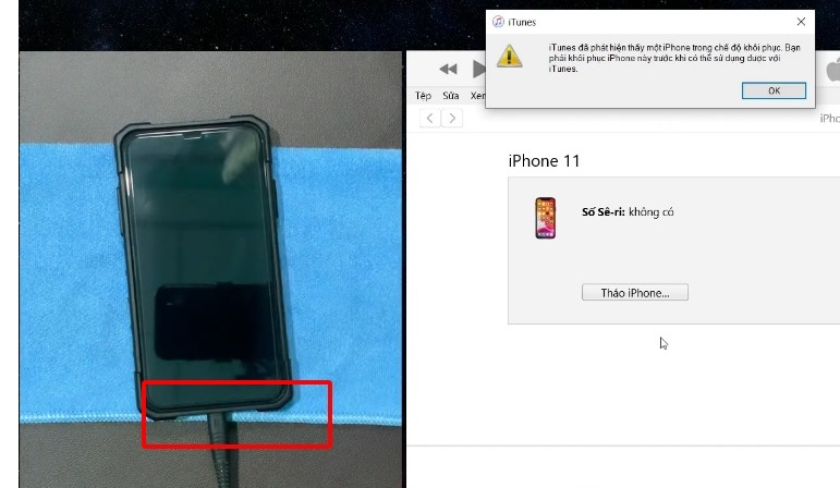 Khắc phục màn hình iPhone bị sọc xanh bằng cách khôi phục qua iTunes