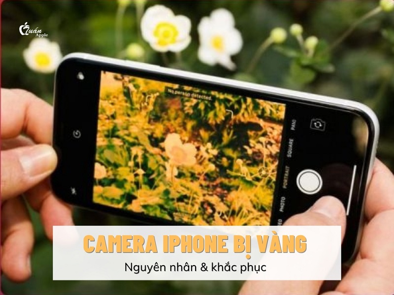 Camera iPhone bị vàng: Nguyên nhân và cách khắc phục