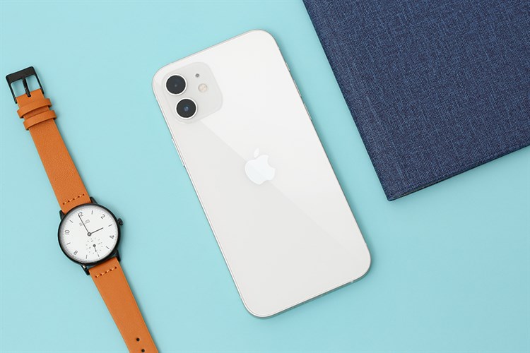 Các loại iPhone 12 256GB cũ phổ biến hiện nay
