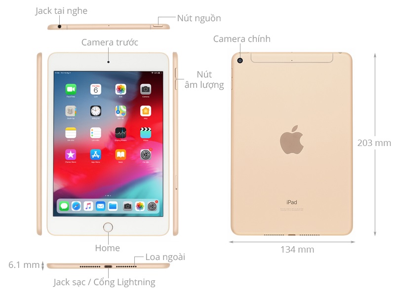 Kích thước iPad mini 5 - 7.9 inch (2019)