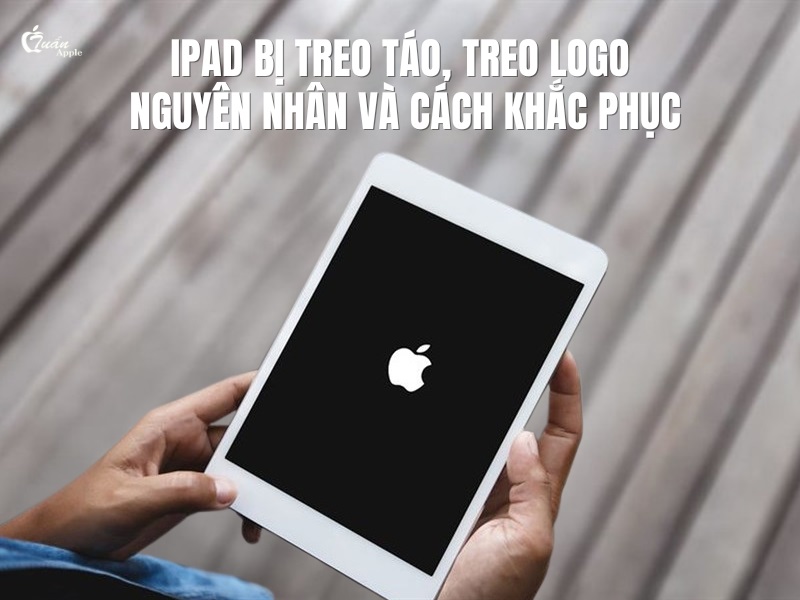 iPad bị treo táo, treo logo: Nguyên nhân và 5 cách khắc phục