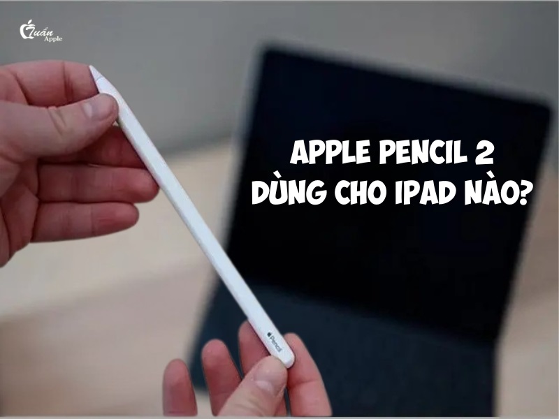Apple Pencil 2 dùng cho iPad nào?