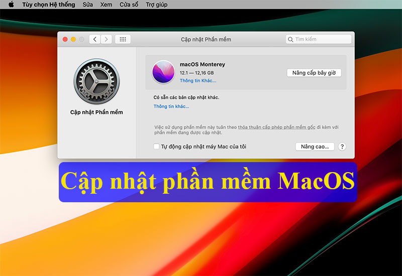 Macbook bị treo khi mở máy bước 4 nếu có bản cập nhật mới thì nhấn "update now" và chờ đến khi hoàn tất
