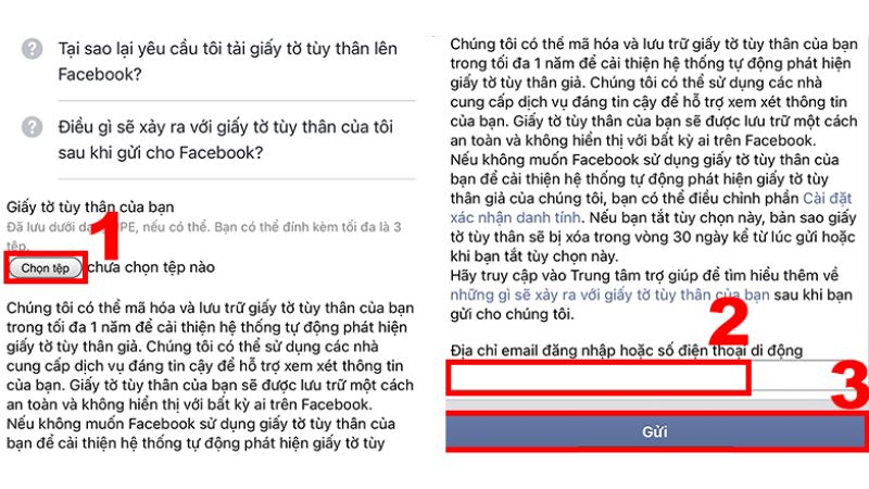 Cách lấy lại Facebook không cần mã xác nhận nhanh chóng