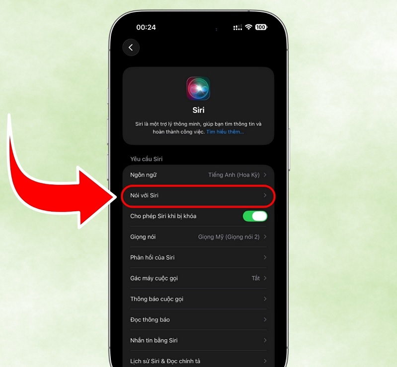 Cách tắt Siri trên iPhone 17 khi không sử dụng