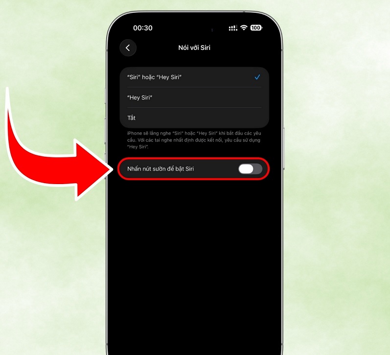 Cách tắt Siri trên iPhone 17 khi không sử dụng
