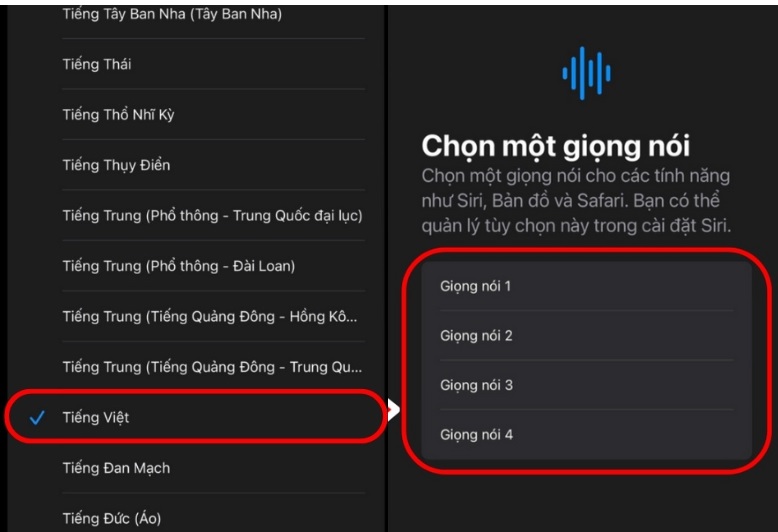 Cài ngôn ngữ tiếng Việt trên iPhone 17 series