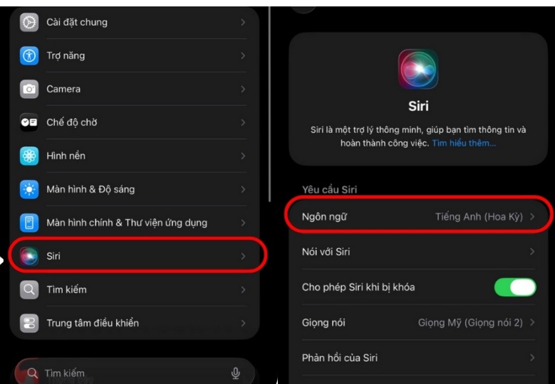 Cài ngôn ngữ tiếng Việt trên iPhone 17 series