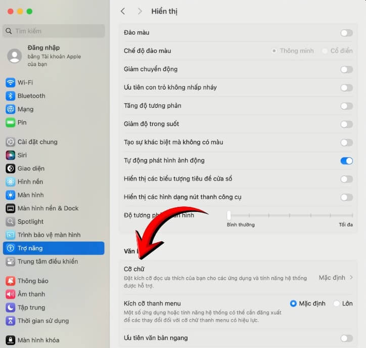 Cách chỉnh cỡ chữ trên MacBook đơn giản dễ nhìn
